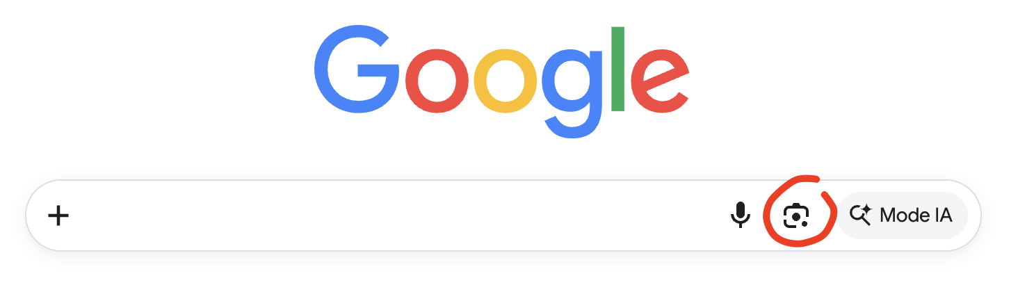Utilisation de Google Lens depuis la page Google